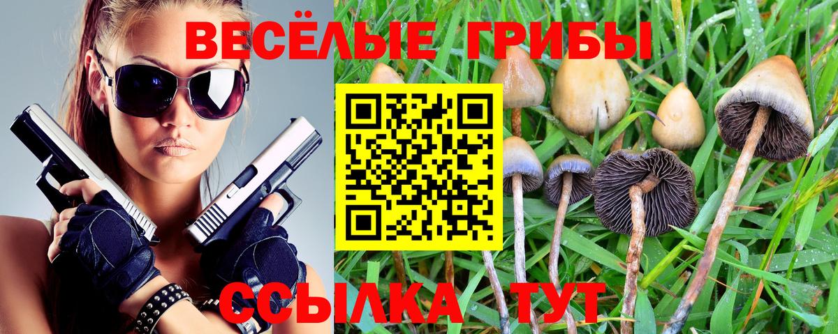 Камышлов  купить   Вход с VPN  Псилоцибиновые грибы GOLDEN TEACHER  Галлюциногенные грибы мухоморы 