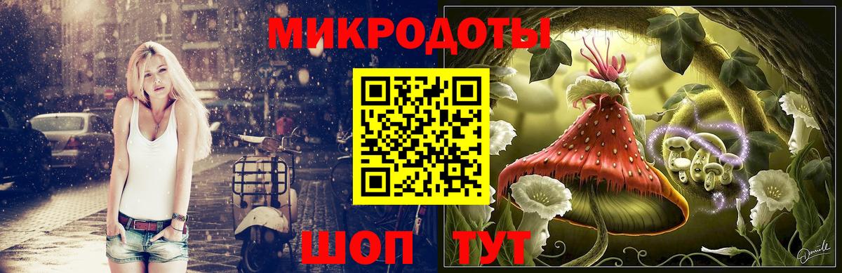 Галлюциногенные грибы Cubensis Камышлов